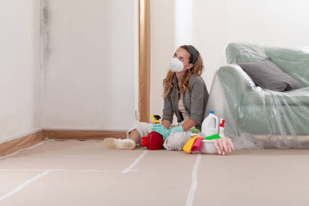 Reliable Mold Remediation contractor in Port Royal, PA by WQB Mold Removal